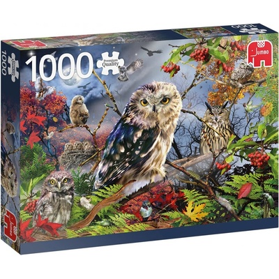JUMBO Sovy při úplňku 1000 dílků