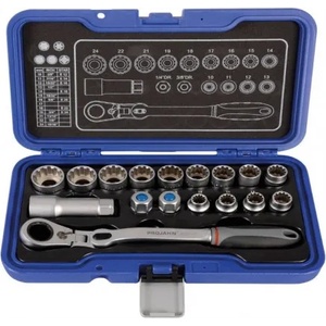 PROJAHN Гедоре комплект 1/4", 3/8", 10-24 мм, 17 броя Projahn