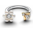 Pandora 164399C01