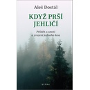 Když prší jehličí - Dostál Aleš
