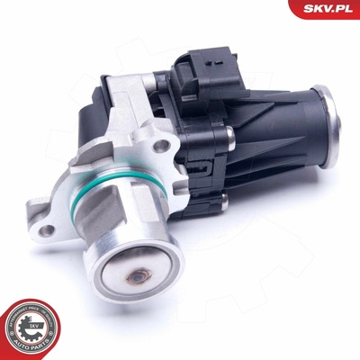 AGR - Ventil ESEN SKV 14SKV185