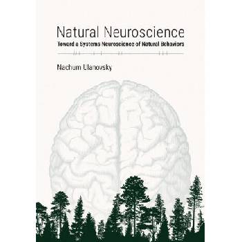 Image 1 of NATURAL NEUROSCIENCE | ULANOVSKY NACHUM