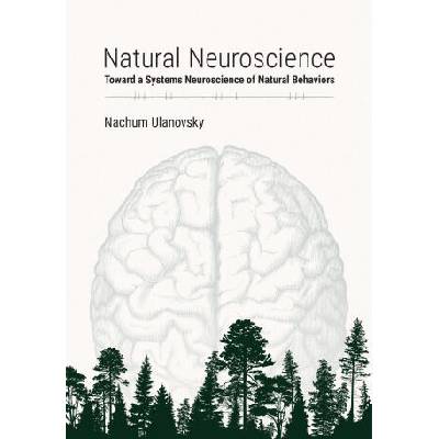 NATURAL NEUROSCIENCE | ULANOVSKY NACHUM