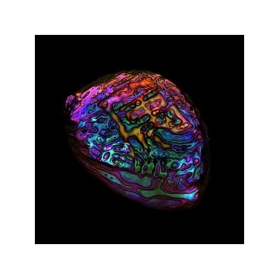 Ian Chang - 属 Belonging LTD CLR LP