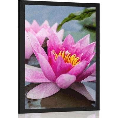 Plakát růžový lotosový květ - 20x30 black