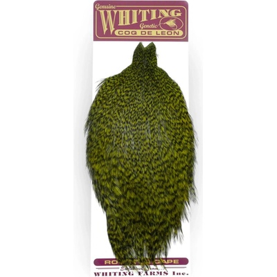 Whiting Hackles Whiting Kohoutí Skalp Coq de Leon Rooster Cape Grizzly Dyed Olive