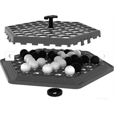 Zygomatic Abalone GO