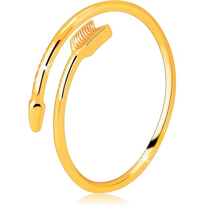 Šperky Eshop Prsten ze žlutého zlata zatočený šíp rozpojená ramena prstenu S1GG238.13