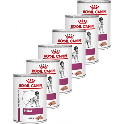 Royal Canin VHN Renal Special 6 x 410 g
