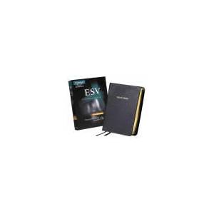 ESV Clarion Reference Bible, Black Calf Split Leather, ES484: X | Cambridge Bibles (ISBN: 9781107648296)
