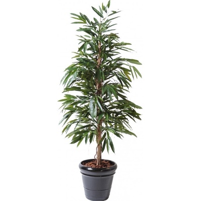 Luxusní umělý strom Fíkus ALII BUSH ROYAL, 190cm