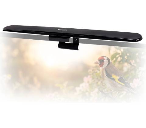 Evolveo Xany 5+