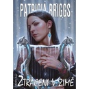 Ztraceni v zimě