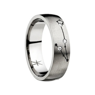 Swepol Titanový prsten Zodiac znamení ryby ZOD C08