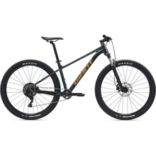 Giant Talon 29 1 2026