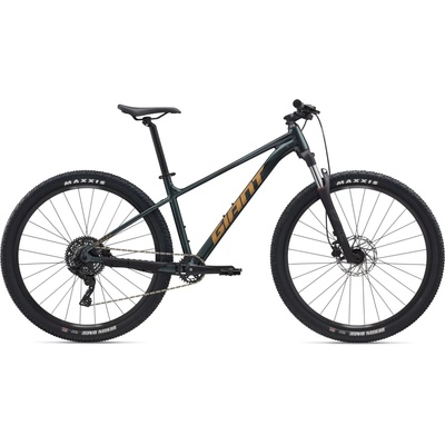 Giant Talon 29 1 2026