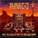 Public Enemy: What You Gonna Do When The Grid Goes Down CD