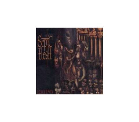 TAALI - When Did The World Start Ending? - Live At Levon Helm Studios CD