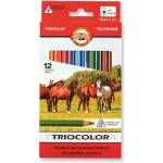 KOH-I-NOOR Комплект цветни моливи, триъгълни, дебели, KOH-I-NOOR "Triocolor Rider 3142/12", 12 различни цвята (7140145000)