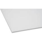 KASKAD Декоративен картон KASKAD 50x70 cm 2 страници 225 g снежнобял 00 991300/82252107 (991300/82252107)