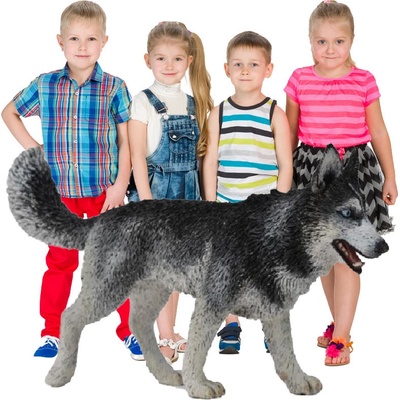 Collecta Sibiřský husky
