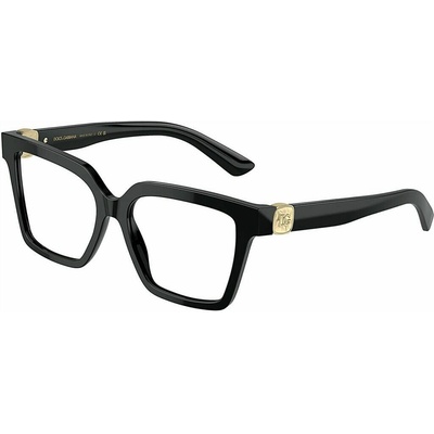 Dolce&Gabbana DG3395 501