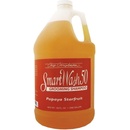 Chris Christensen Smart Wash Papaya Starfruit Shampoo 3,8l