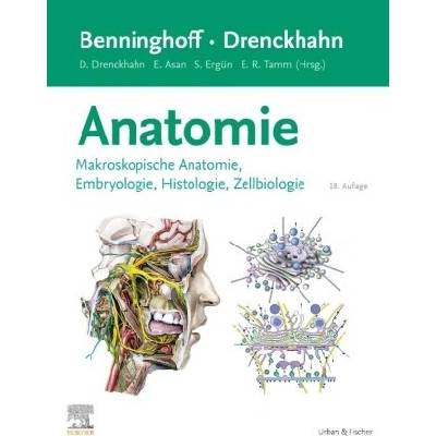 Benninghoff/Drenckhahn, Anatomie Detlev Drenckhahn,Süleyman Ergün,Ernst R. Tamm
