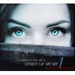 STS Digital - Celebrating The Art & Spirit Of Music Vol. 1 - Референтен CD (063382)