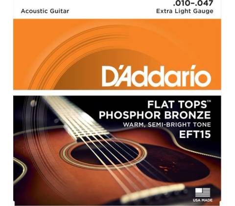 DAddario EFT15