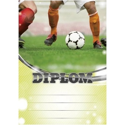Diplom 6601