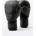 Everlast Боксови ръкавици Prospect 2