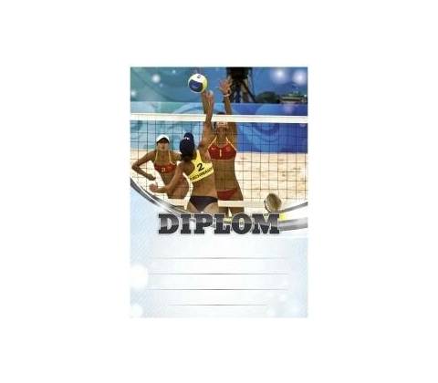 Diplom 6638