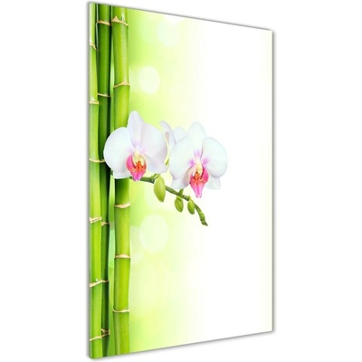Vertikálny foto obraz sklenený Orchidea a bambus 50x100 cm