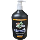 Schauma Men Sports Power 2v1 šampon 750 ml