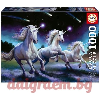 Educa Пъзел educa 19919 - 1000 части - Падащи звезди, Ан Стоукс (edu19919)