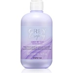 Inebrya Greylosophy Grey By Day Shampoo тониращ шампоан за сива коса 300ml