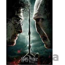 SD TOYS MERCHANDISING Harry Potter: Harry vs. Voldemort 1000 dielov