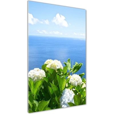 Vertikálny foto obraz sklo tvrdené Hortenzie more 50x100 cm