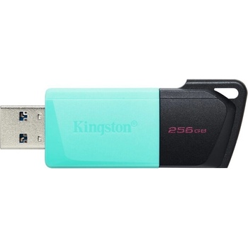 KINGSTON DataTraveler EXODIA M 256GB DTXM/256GB