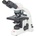 Motic BA310E binocular