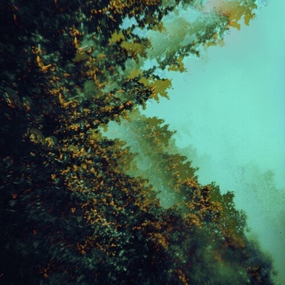Caterpillars of Creation Polymoon CD