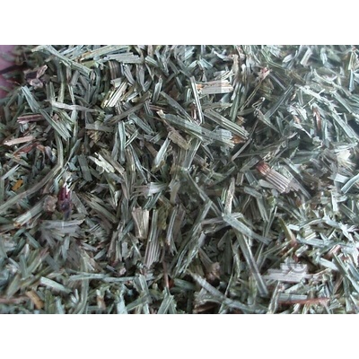 Bylinná lékárna Přeslička rolní nať Equiseti herba 100 g