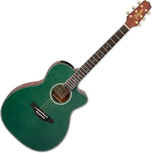 Takamine LTD2025 Gloss Antique Evergreen Други електро-акустични китари