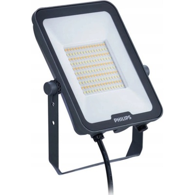 Philips BVP164