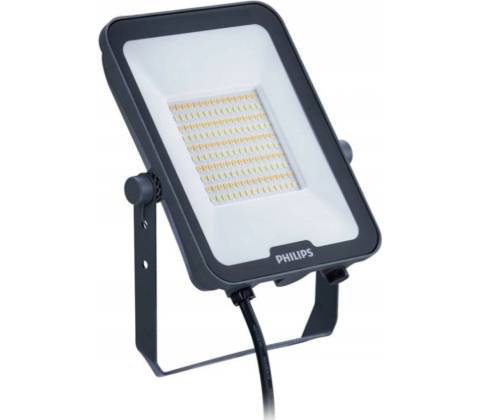 Philips BVP164