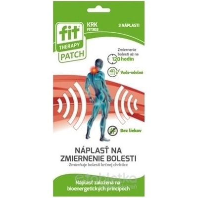 D.Fenstec Fit Therapy Patch Chrbát náplasť 3 ks