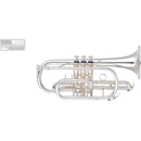 YAMAHA YCR-4330GSII