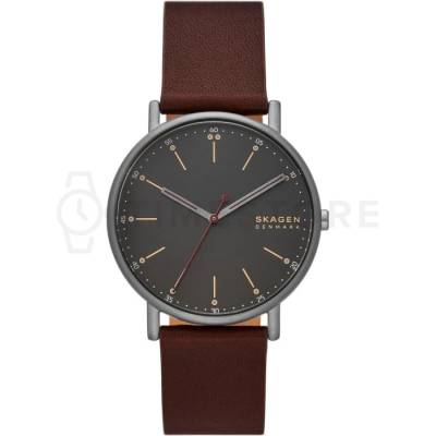 Skagen Signatur SKW6860 (SKW6860)