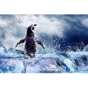 DIMEX ART Флизелинов фототапет пингвин 375 x 250 см